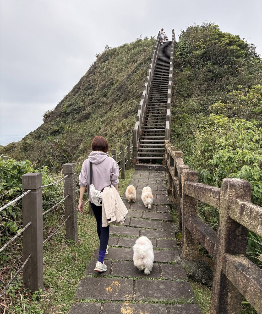 飼主帶著小白狗們沿著海岸步道一起往上走