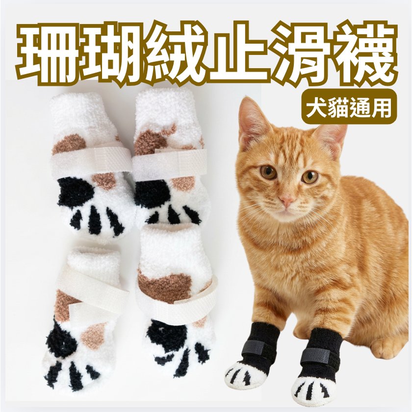 貓咪穿著珊瑚絨貓爪止滑襪,賓士貓與三花貓兩款