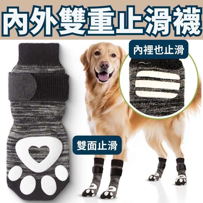 狗狗穿著灰黑色內外雙重止滑襪,襪筒內裡也有止滑條
