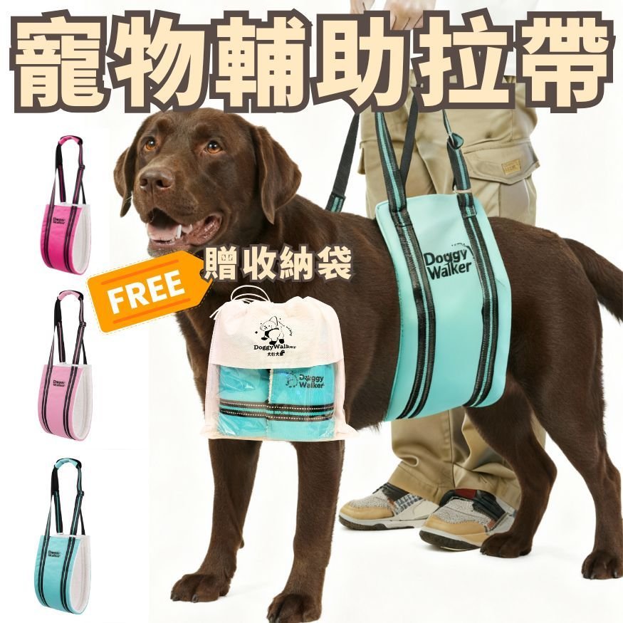 Doggy Walker 泰迪絨輔助拉提帶托著拉布拉多的腹部，附贈收納袋