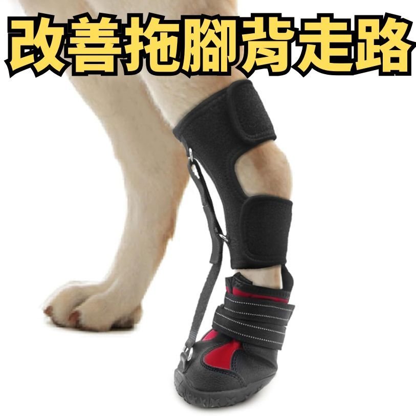 狗狗翻腳背輔助鞋
