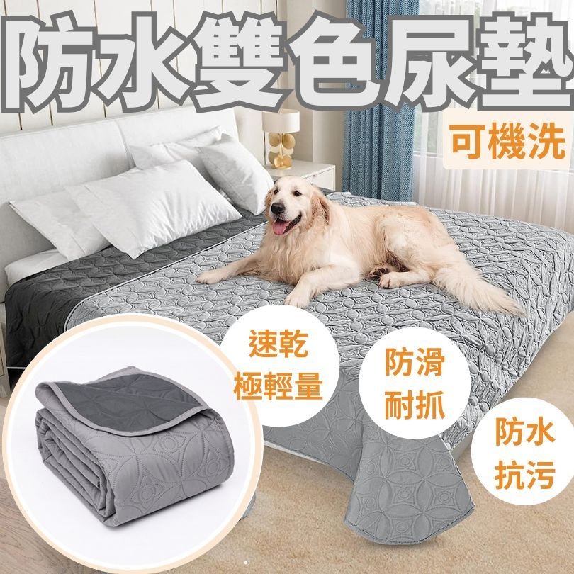 灰色雙面防水尿墊鋪在床上,黃金獵犬趴在上面