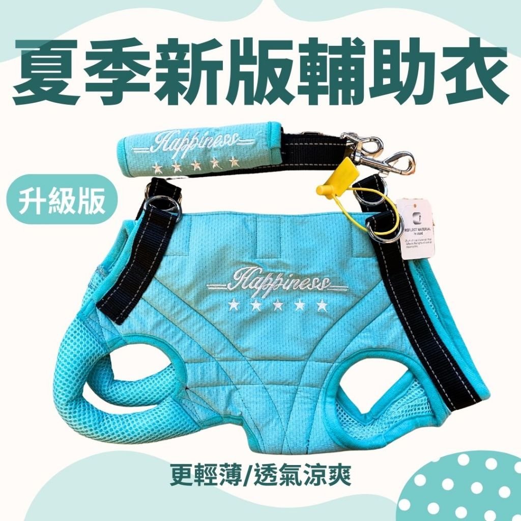 湖水綠夏季輕薄輔助衣，附刺繡手提把背帶