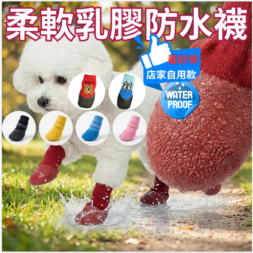 紅色乳膠防水襪,小狗在水窪上散步